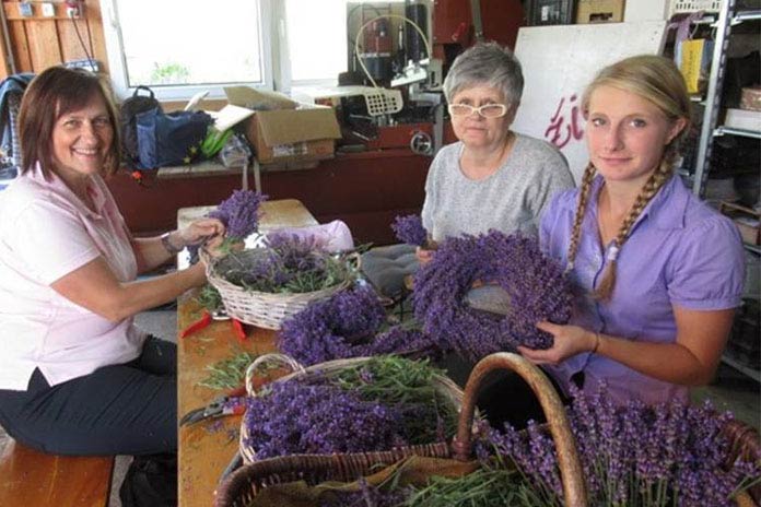 Sivkini dnevi na Marnem