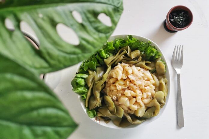 Vegansko po zasavsko – veganski grenadirmarš