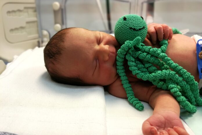 Hobotnice za male borce