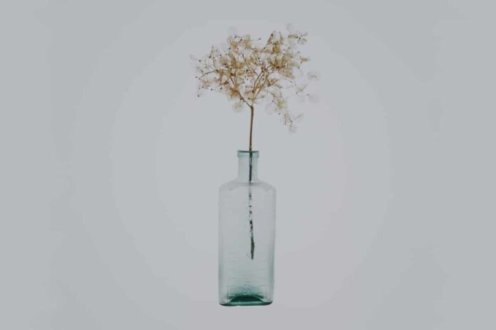 Steklarna Hrastnik ohlajena