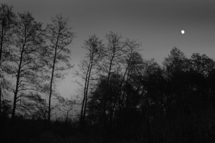 Fotke res povezujejo