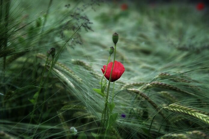 Fotke povezujejo – otvoritev v torek