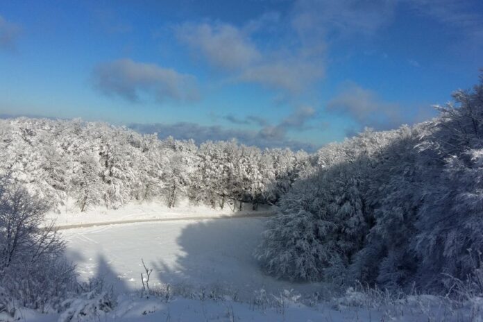 Novoletna prigodnica