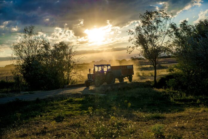Traktor obstal na gozdni poti