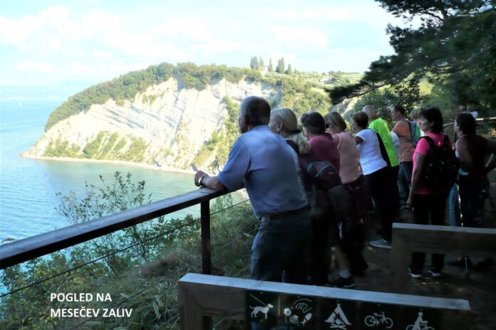 Vandrovčki na pohodu po slovenski Istri
