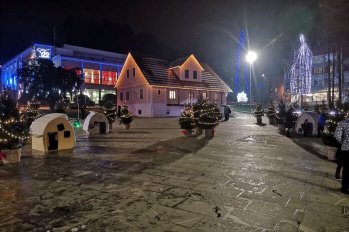 Božični gozd v Zagorju