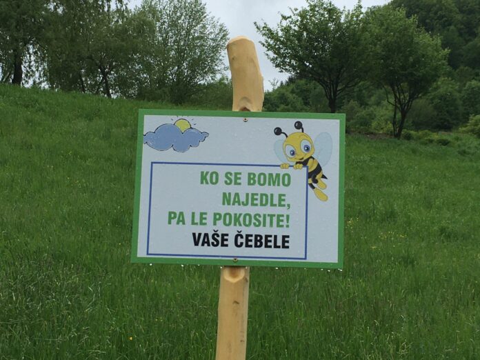 Občina Zagorje v projektu Dan sajenja medovitih rastlin