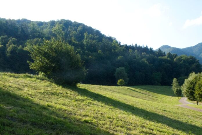 Za kmetijstvo 44 tisočakov