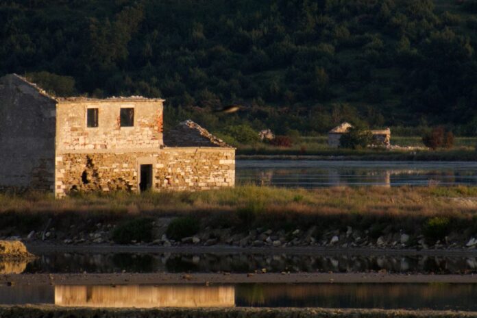 Sonce vabi