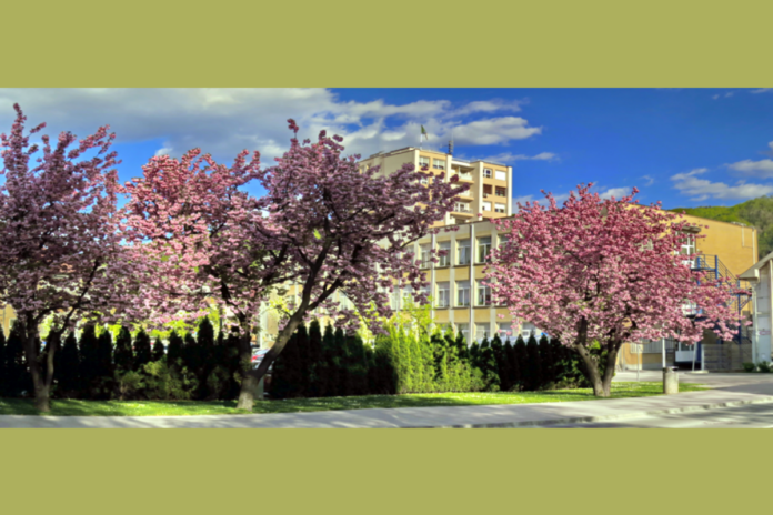 Srebrna plaketa za Lucijo Klemen