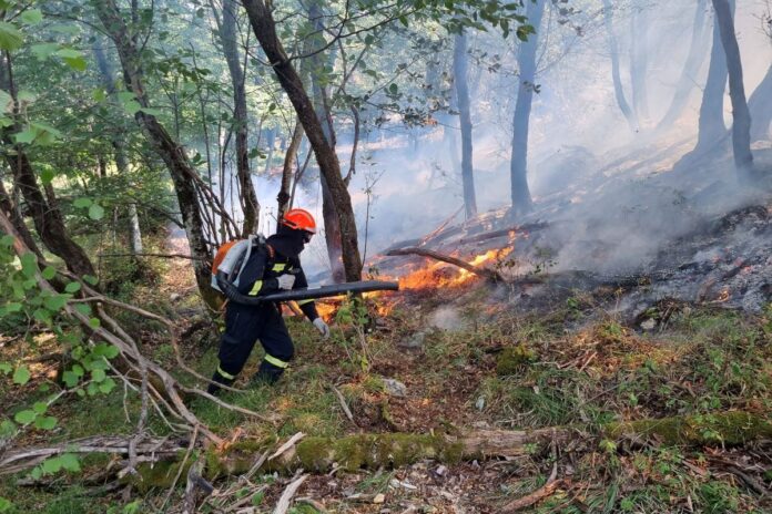 Tudi danes pomoč na Krasu