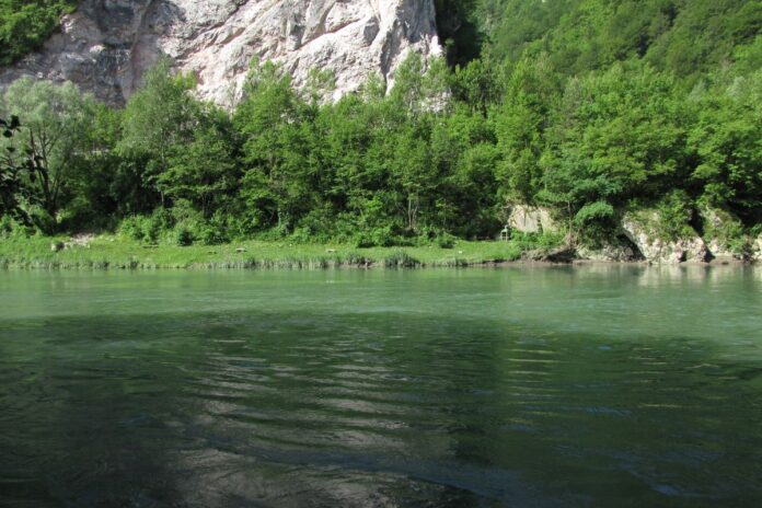 Dan za Savo v Hrastniku