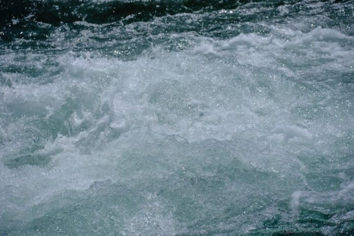 Sava drhti