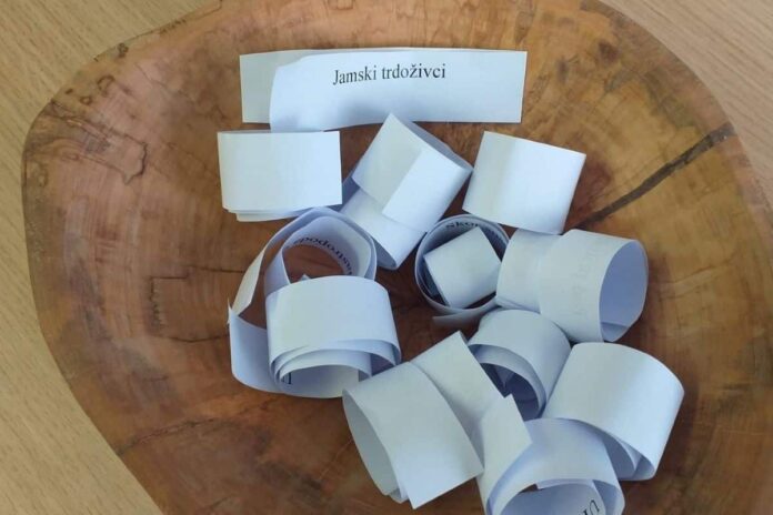 Prekmandeljc je izžrebal