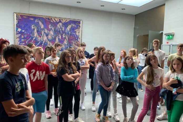 Čebelice, čebelice