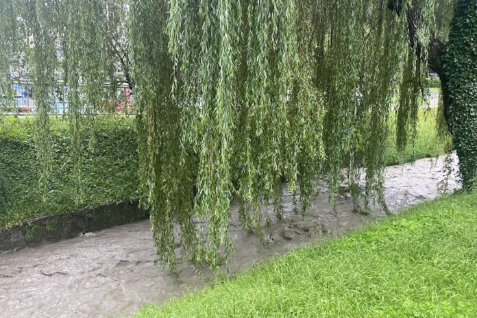 Prijava škode v Trbovljah