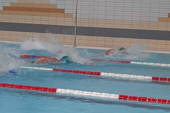 Zupančič v Ribnici