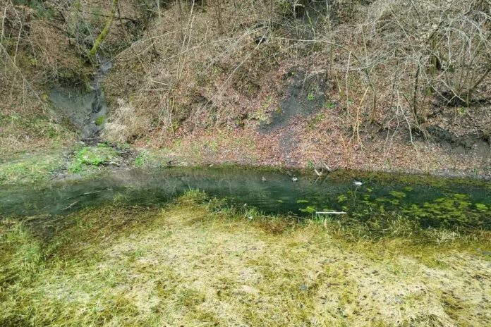 V Zagorju varujejo dvoživke