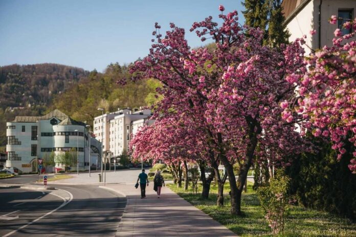 O skrivnosti mojega mesta