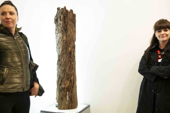 Špela Ulaga: Reciklirane svetilke