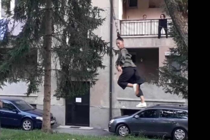 The Wheel in Hear Suspension