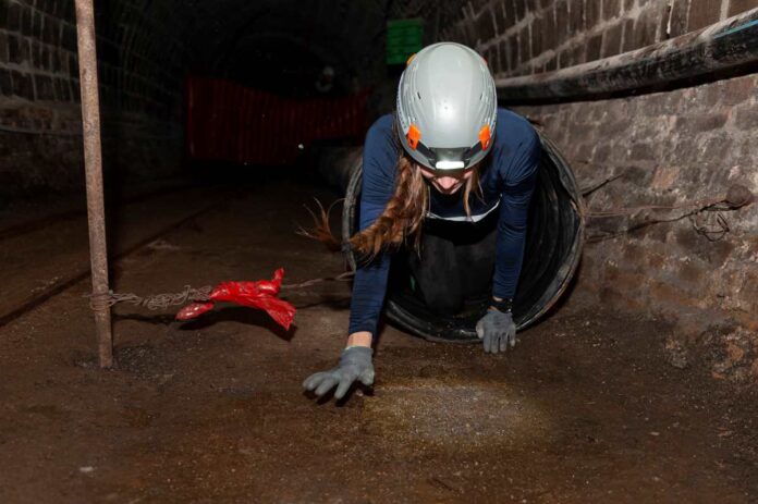 Jamatlonci se že veselijo