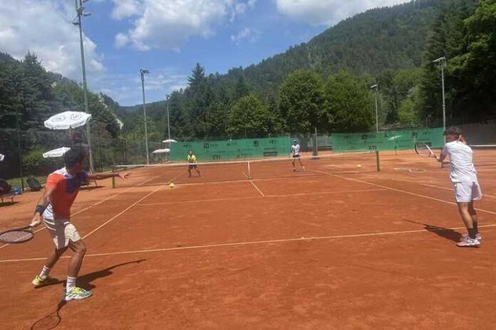 Šeško v finalu, Artnak v polfinalu