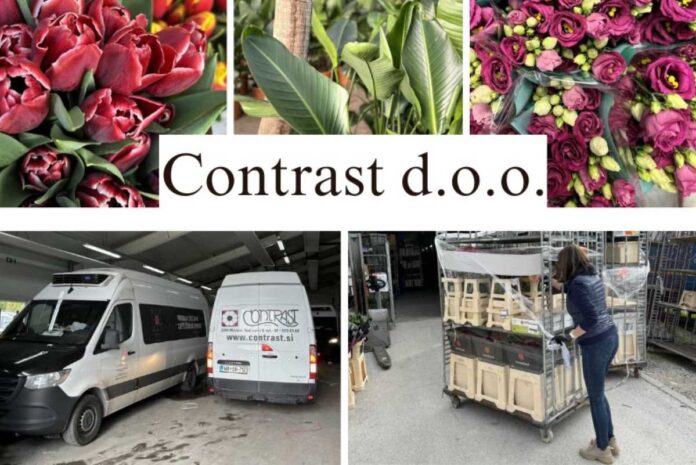 Vrhunski dobavitelj cvetja v Sloveniji