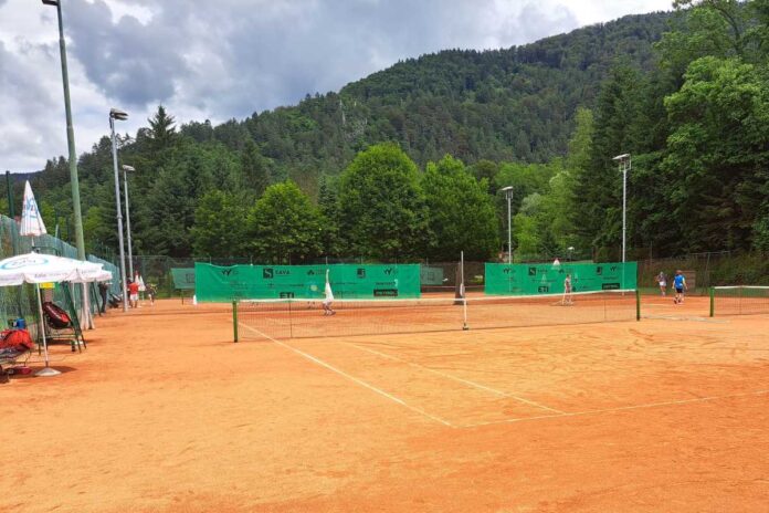 Artnak premagal Šeška