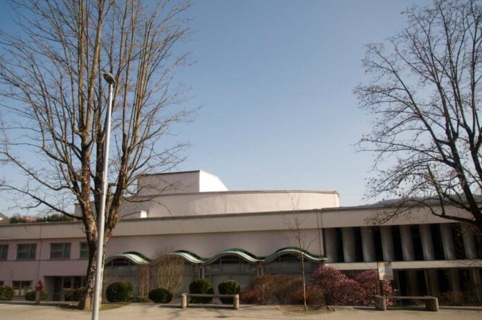 Razpis za direktorja/direktorico DDT