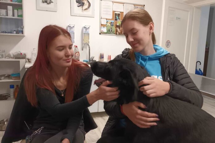 En dan na delovnem mestu