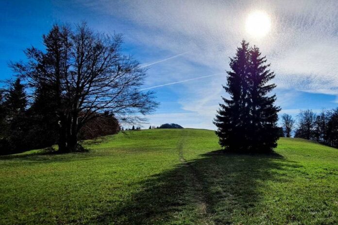 Županov športni izziv