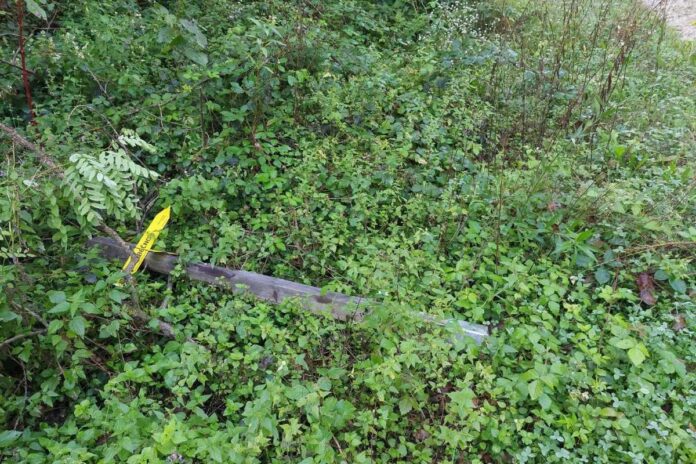 Vandalizem na Poti srečno