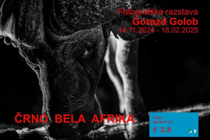 Gorazd Golob v galeriji f 2,8