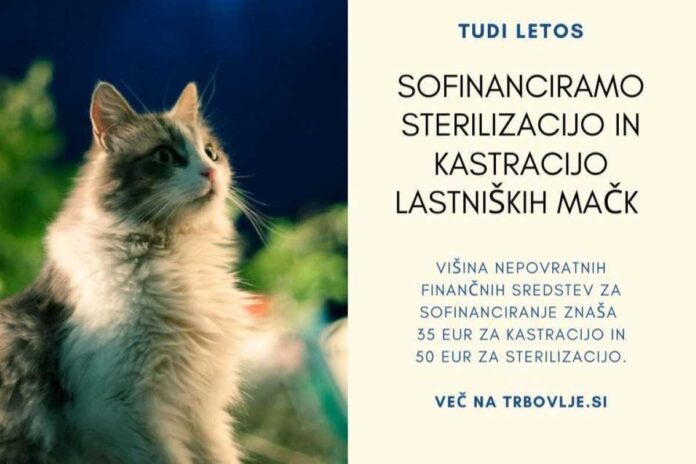 Občina Trbovlje za manj zapuščenih mačk