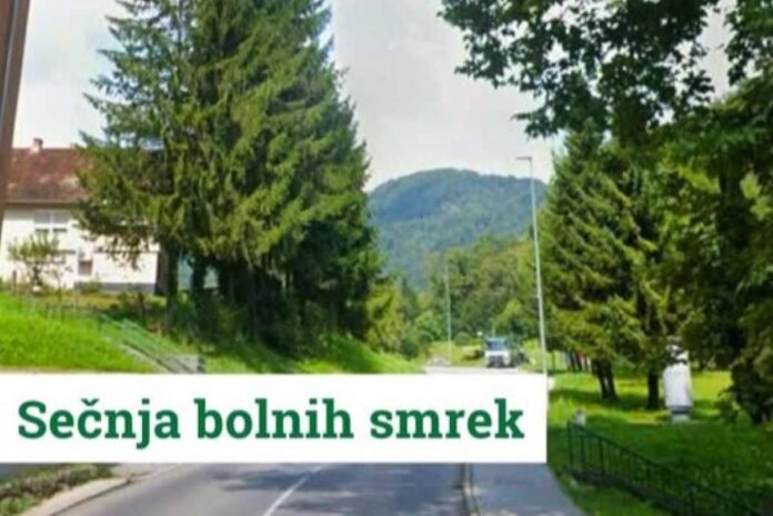 Polovična zapora ceste Hrastnik-Boben