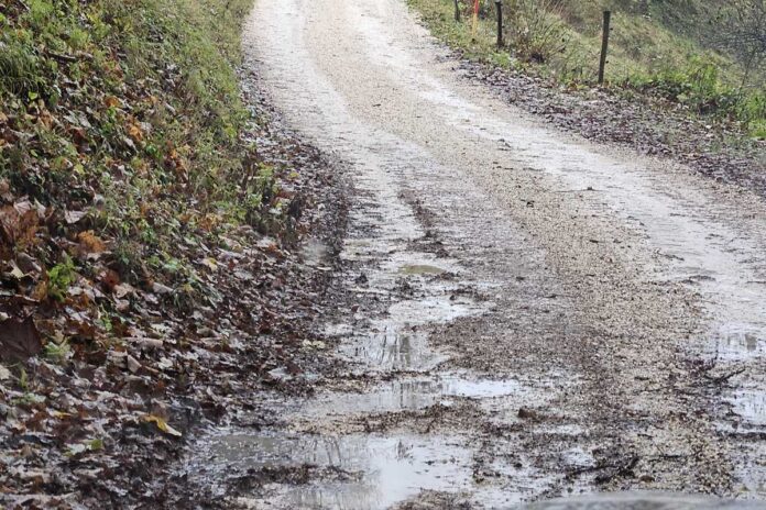 Zdi se nam nenormalno …