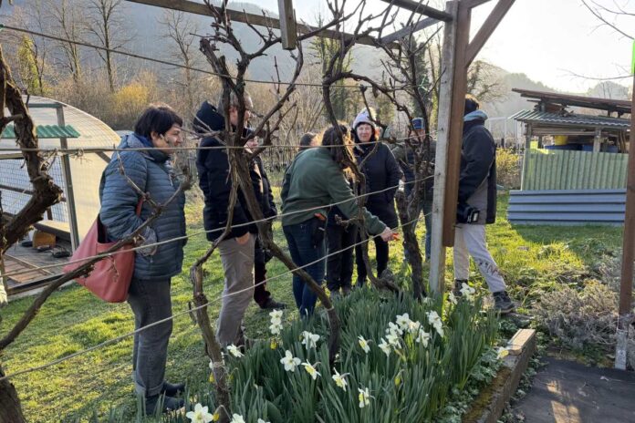 Trajnostna samooskrba z zavestnim vrtnarjenjem