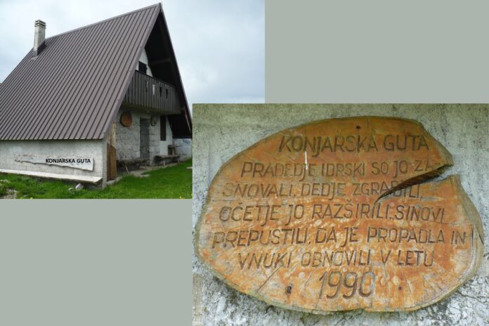 Foto tedna: Konjarska guta