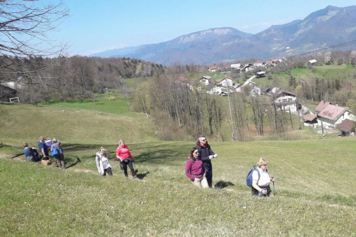 Pohod po Poti kumskega brezokca