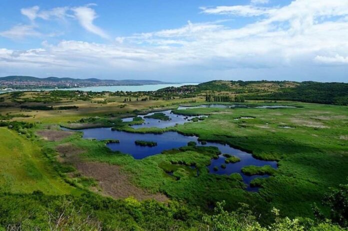 Mateja Gerečnik: “Blatno jezero je spet navdušilo.”