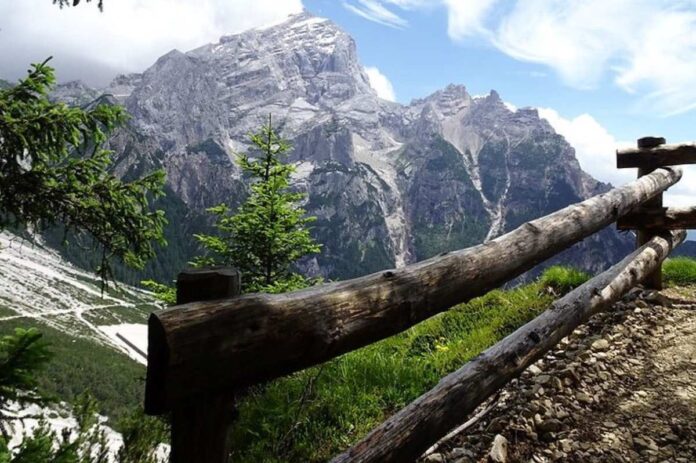 Divje, vodnate Marmarole