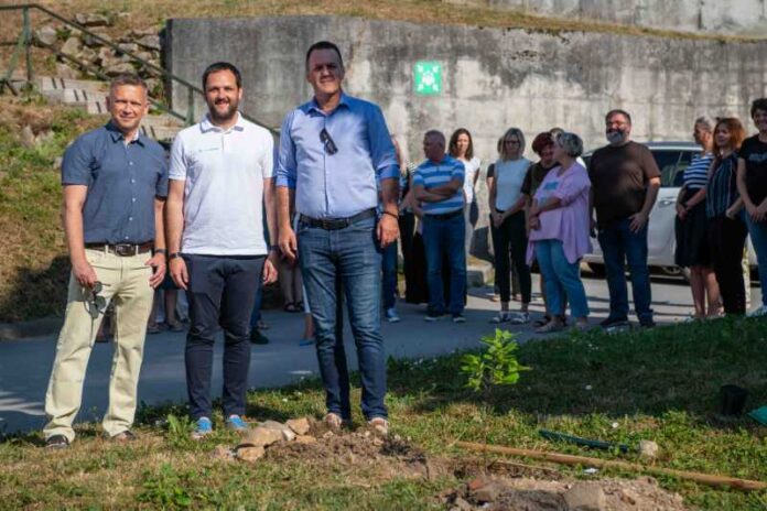 Hrasta prijateljstva