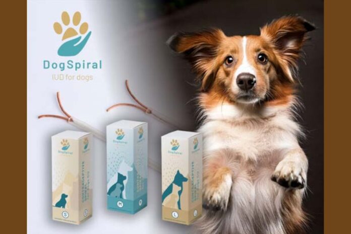 Bronasta inovacija: DogSpiral