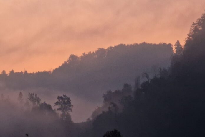 Foto tedna: Čutni vtis zunanjega sveta