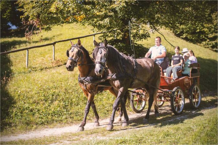 Konjeniški dan KD Hrastnik