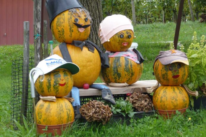 Foto tedna: Družina na soncu