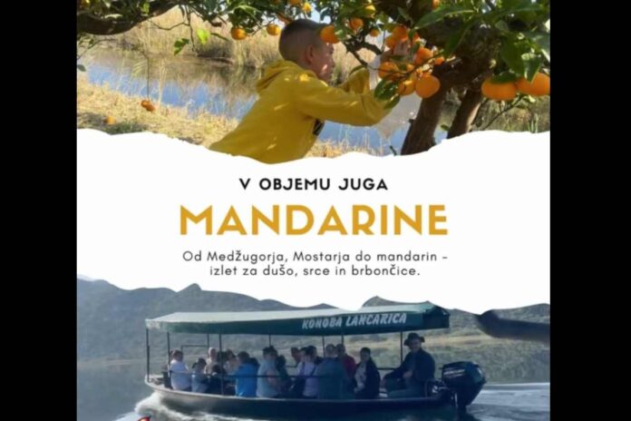 Mandarine, Mostar in Medžugorje (v objemu juga)