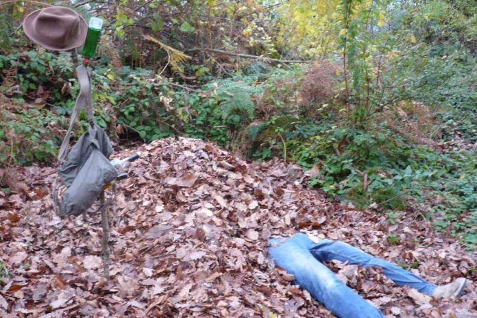 Foto tedna: Bliža se Martinovanje