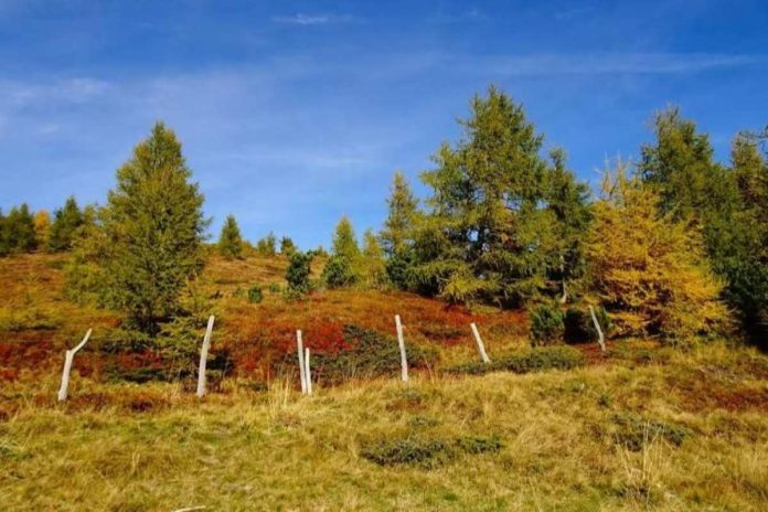 Tako in nič drugače